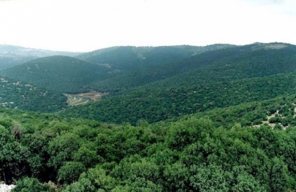 جرش: 100 دينار لكل طواف يلقي