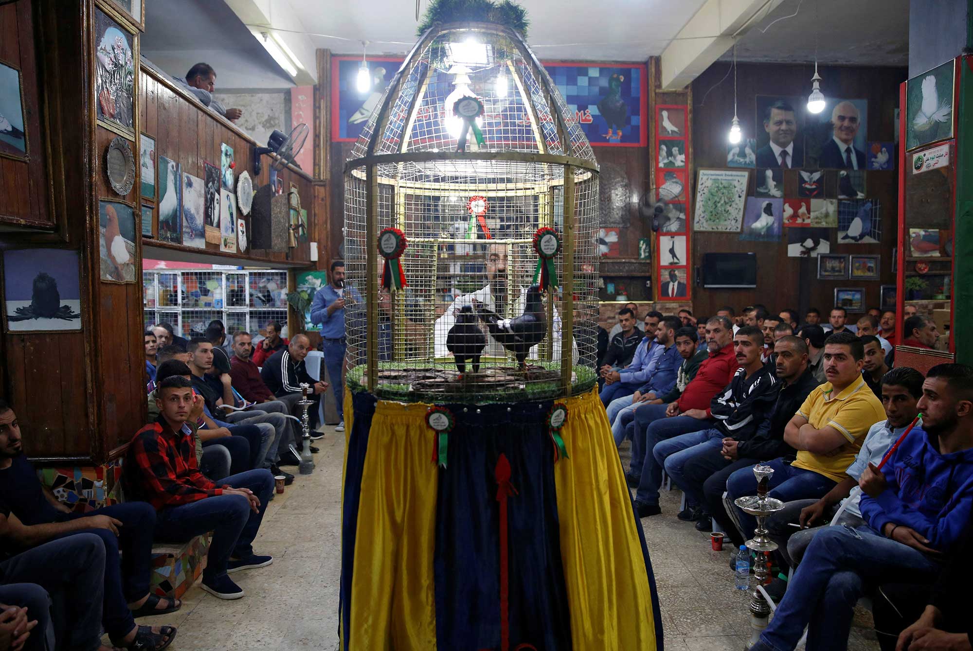 مئات من مربي الطيور الثمينة يلتقون