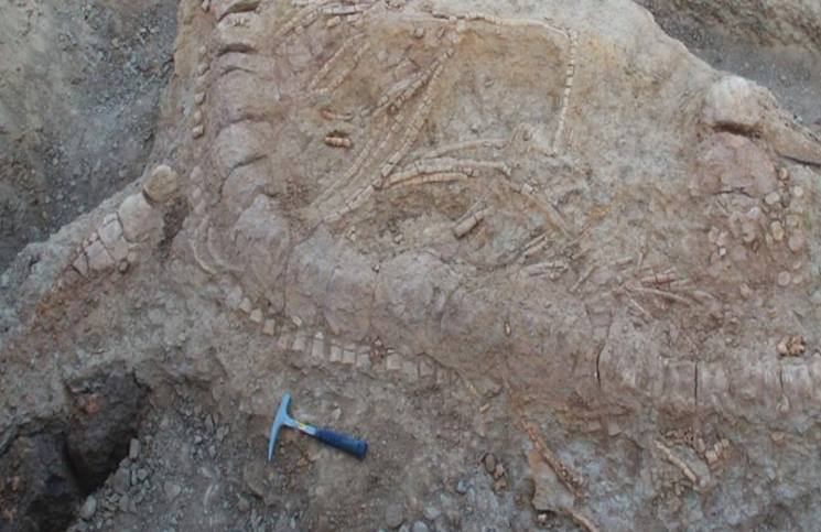 اكتشاف “وحش بحري” عاش منذ 152