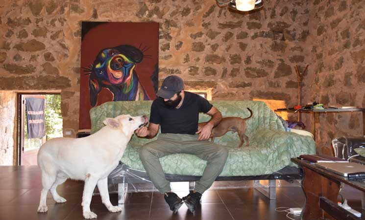 للكلاب فندق خاص في لبنان