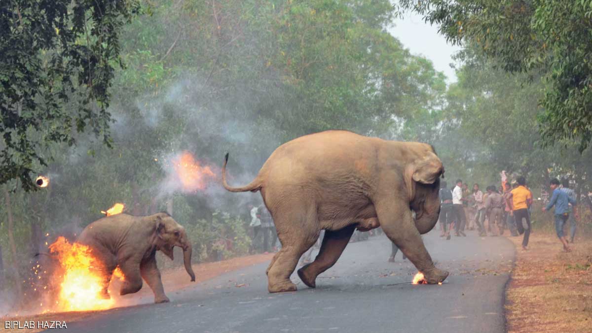 ’هنا الجحيم‘.. قصة صورة حصدت جائزة