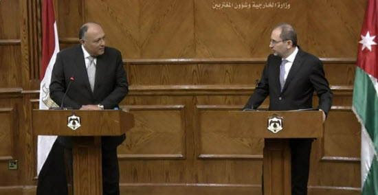 الصفدي وشكري يبحثان المستجدات على الساحة