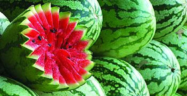 بطيخة تجعل امريكي مليونيرا