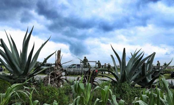 أغرب آلة تهريب مخدرات في العالم