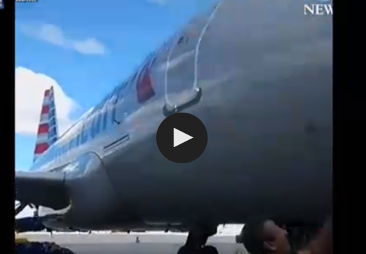 بالفيديو.. طائر وطائرة في هبوط استثنائي