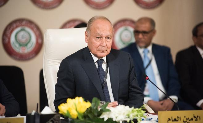 أبو الغيط: تم الكشف عن شبكات