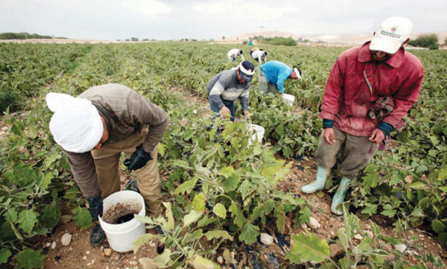 الحكومة: لا توجه لفرض ضريبة على