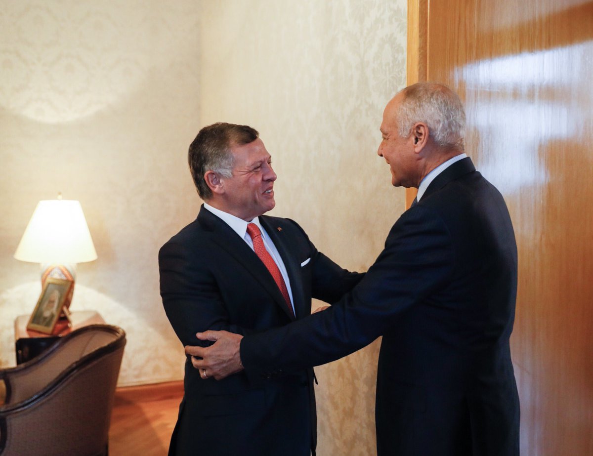 الملك يستقبل أبو الغيط