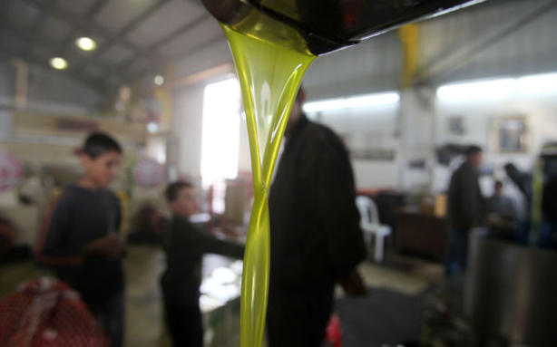 توقعات بانخفاض اسعار الزيت.. وهذا السبب