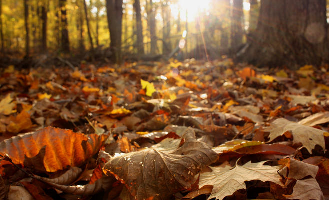 طقس خريفي مشمس وارتفاع على درجات