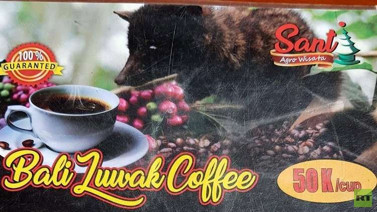بالصور.. تعرف على القهوة الأغلى ثمنا