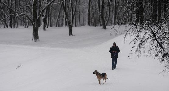 لا تكن وحيدا في الشتاء حتى