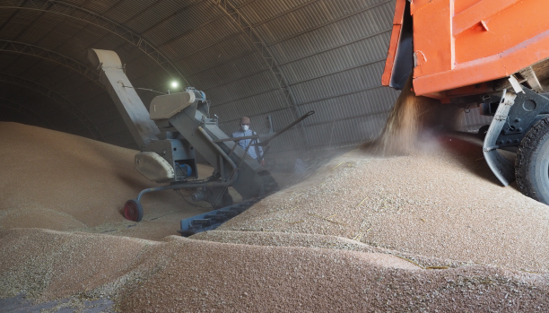 الأردن يكثف استيراد القمح خوفا من