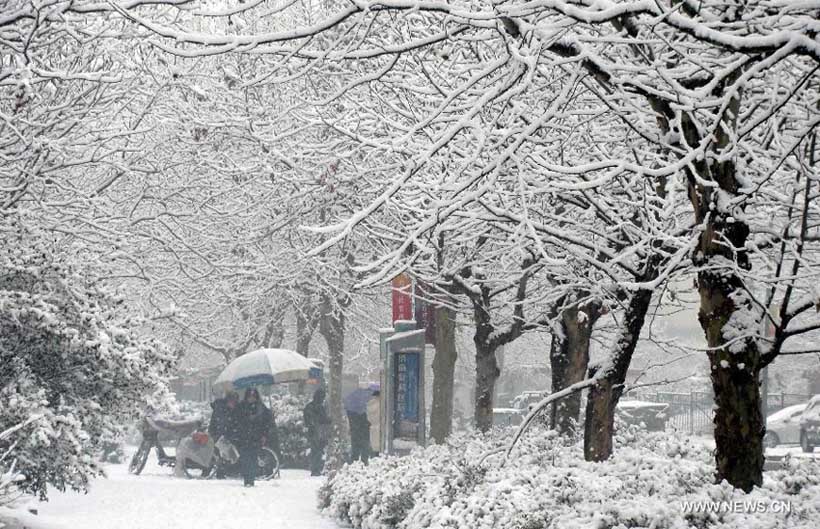 بالفيديو.. تساقط الثلوج على مرتفعات الرشادية