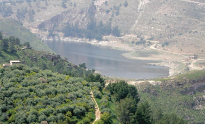 وزير الزراعة: امطار الخير تبشر بموسم