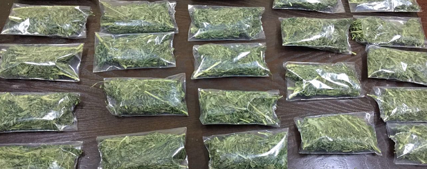 ضبط سيدة وحدث يروجان ’الماريجوانا‘ بالشونة