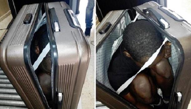 مخدرات في الملوخية ومهاجر في حقيبة..