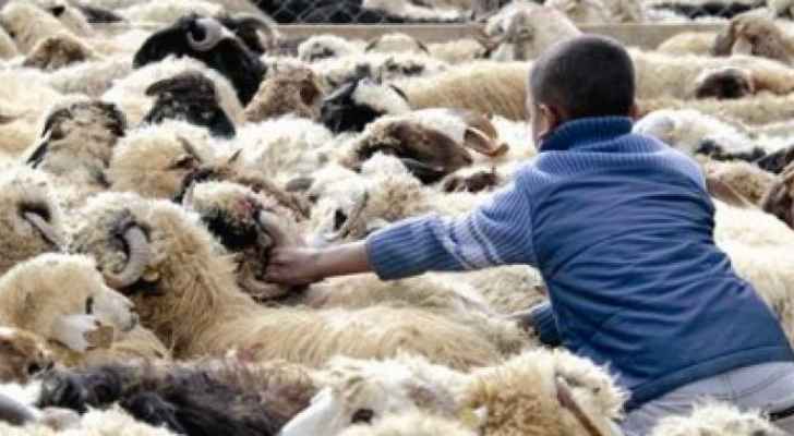 انقاذ طفل تاه بمنطقة السلع الوعرة