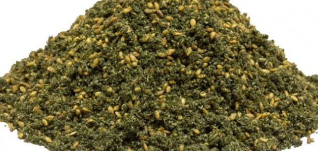 تعلمي طريقة تحضير الزعتر