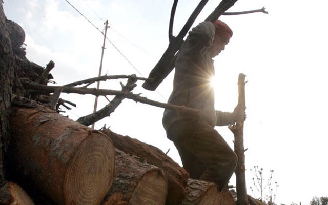 اعتداء على طوافي حراج في جرش