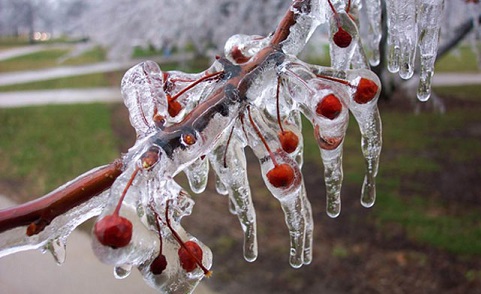 طقس بارد اليوم وتحذير من الانجماد