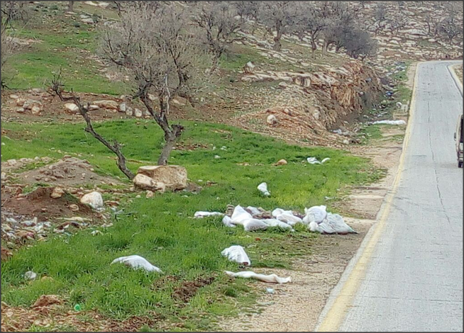 أهالي العالوك يستغيثون بوزارة البيئة (صور)