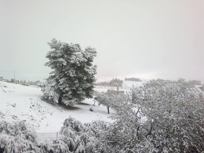 تساقط الثلوج على رأس النقب.. والطريق