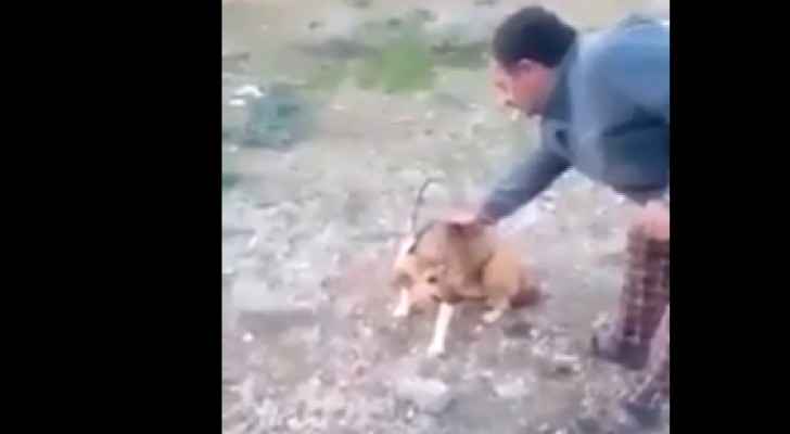 فيديو.. أردني يقدم على حرق كلب