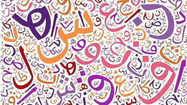 مثل جحش وكلب.. لماذا سمّت العرب