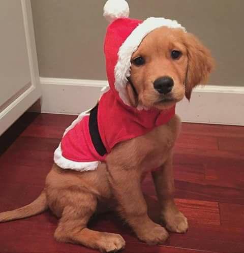 سيدة أردنية تعرض مركبة موديل 2018