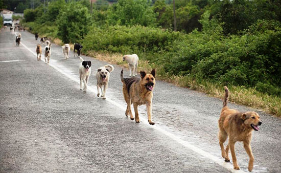 وتنادون بالسياحة.. يا سلطة العقبة (شاهد)
