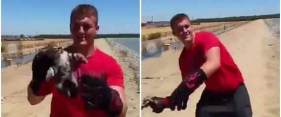 اعتقال شاب بعد انتشار مقطع فيديو