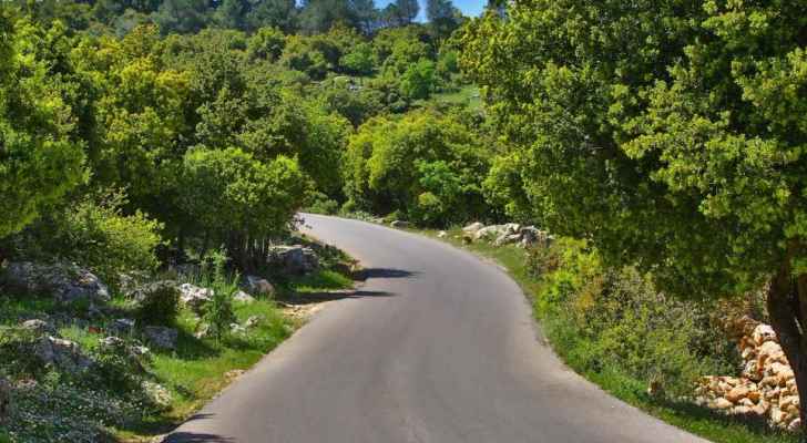 أجواء مستقرة وأدفأ من المعتاد ومناسبة