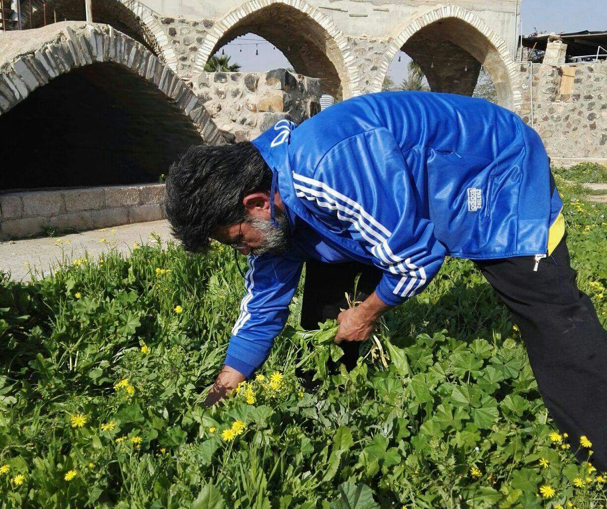 أردني يطمح للوصل للعالمية في مهرجان الخبيزة