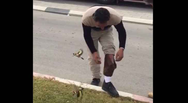 احباط تهريب ’حساسين‘ داخل ’جراب‘ من