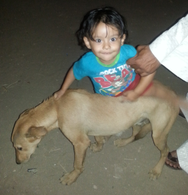 صدق أو لا تصدق.. 11 محاميا