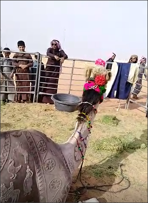 الج 1619مال والجمال