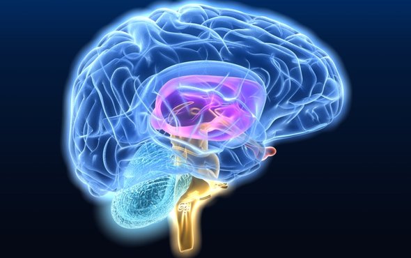 ماذا يحدث لدماغ الطفل بعد إصابته