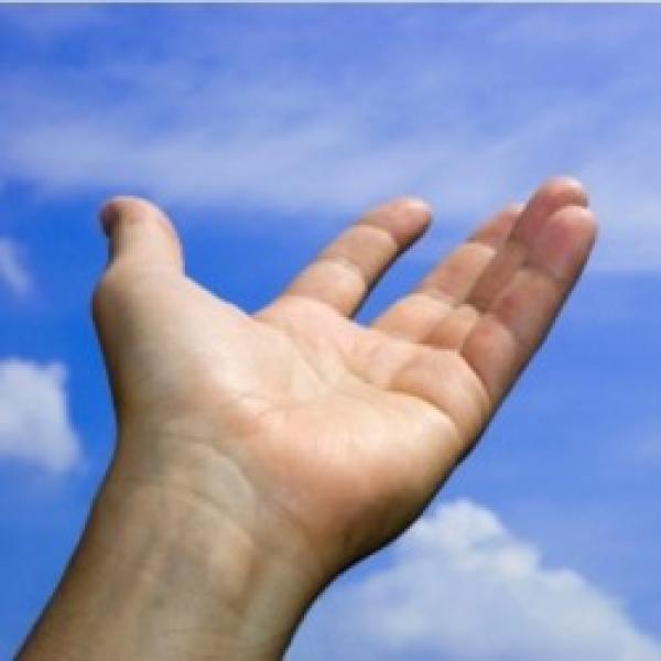 المال والبنون.. من يساعد هذا الشيخ؟