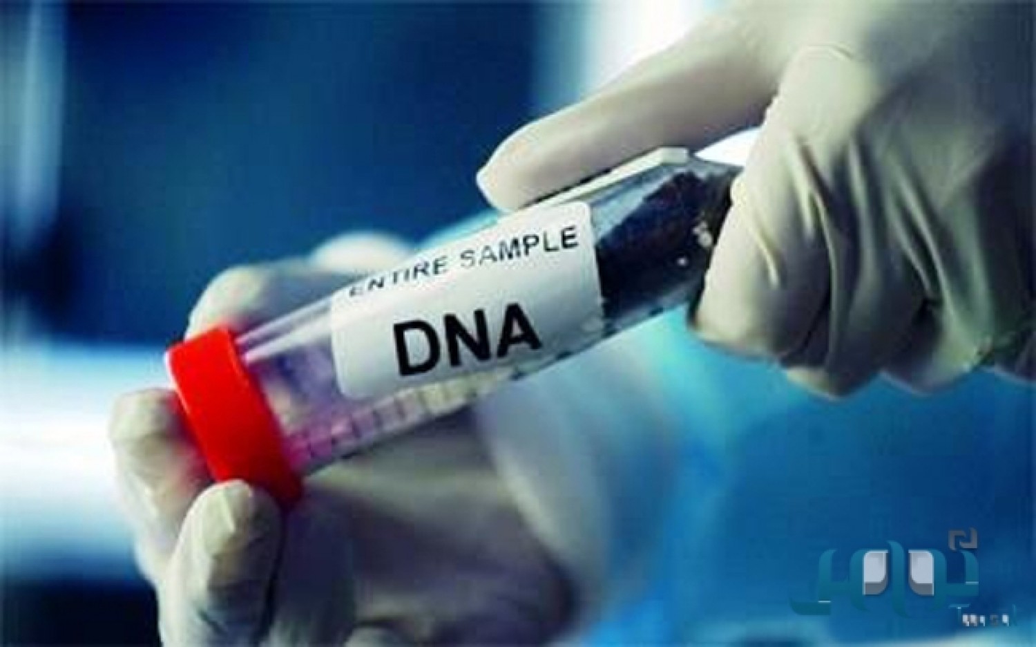 78 % من الأردنيين مع الزامية