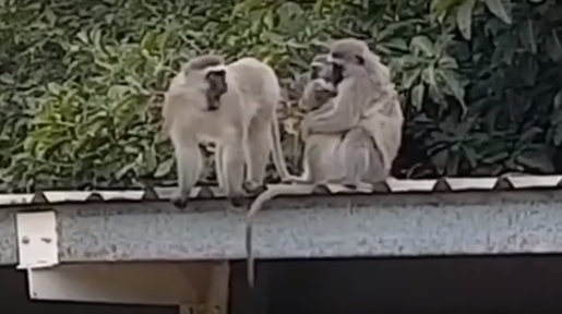 ’قبّل يد والدته‘.. لحظات مؤثرة لاستقبال