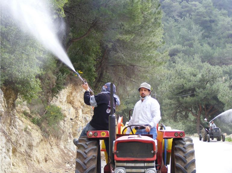 دعوة مزارعي النخيل الى رش الاشجار