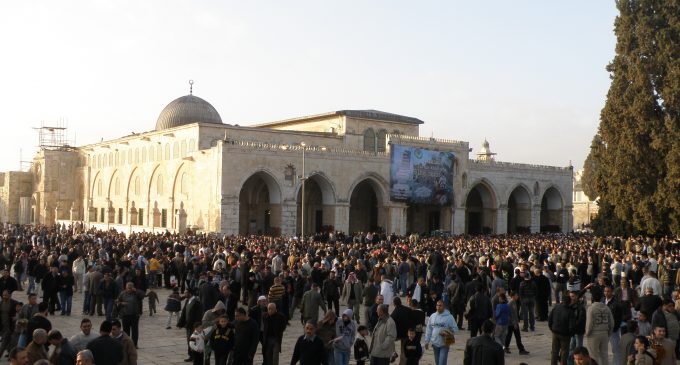 الاحتلال يزعم اعتقال خلية خططت لتنفيذ