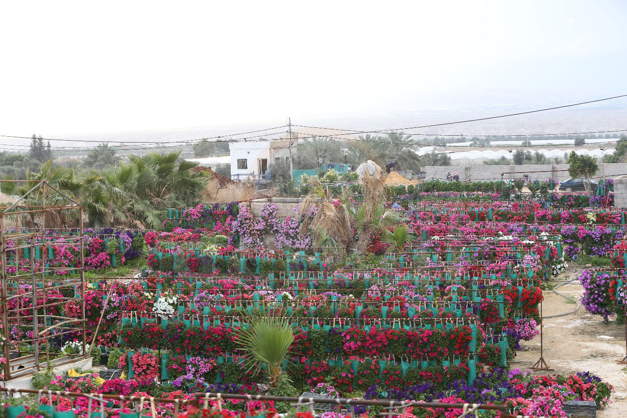 مزارع أردني يتحضر بـ 22 ألف