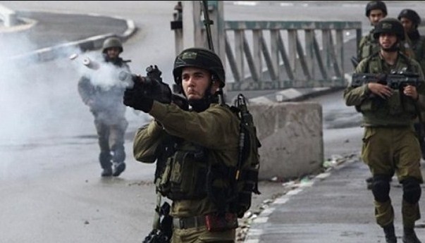 الاحتلال يعتقل 11 فلسطينيا بالضفة الغربية