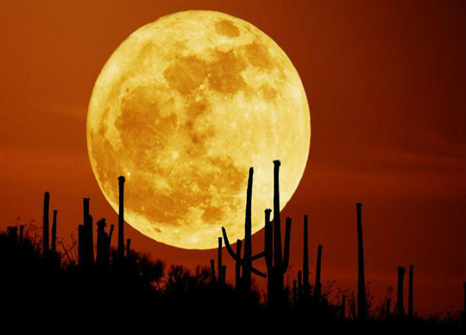 ظاهرة نادرة.. قمر عملاق في سماء