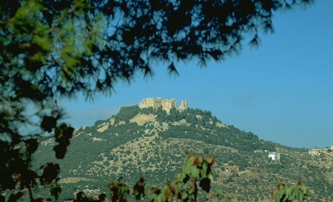 اطلاق مبادرة جمال حدائق ‏مساجدنا بسواعد