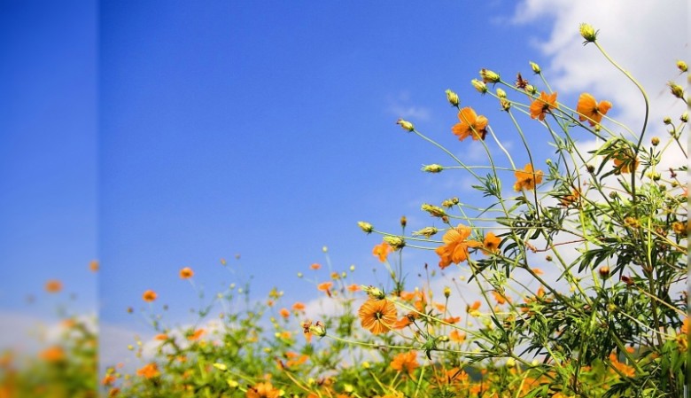 الجمعة .. . ارتفاع طفيف على