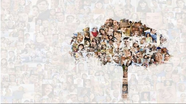 13 مليون شخص تجمعهم أكبر شجرة