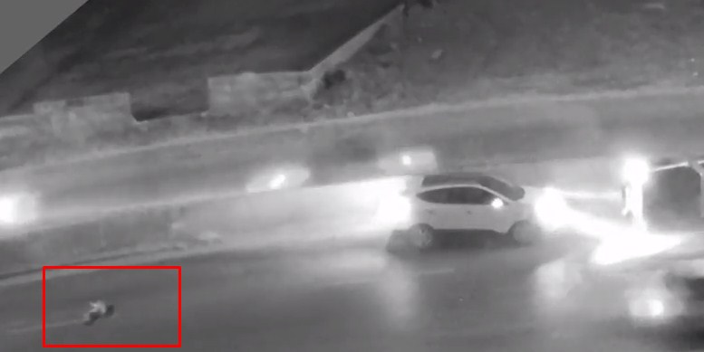 طفلة تتسبب بكارثة بعد دهسها بشارع